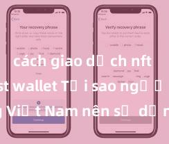 cách giao dịch nft trên trust wallet Tại sao người dùng Việt Nam nên sử dụng Trust Wallet? Lợi ích và rủi ro