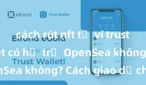 cách rút nft từ ví trust Trust Wallet có hỗ trợ OpenSea không? Cách giao dịch NFT